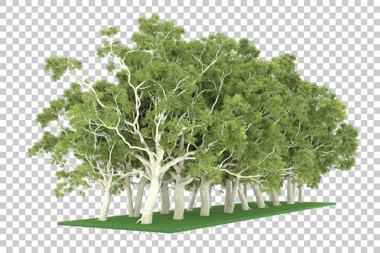 PSD forest on transparent background. 3d rendering - illustration