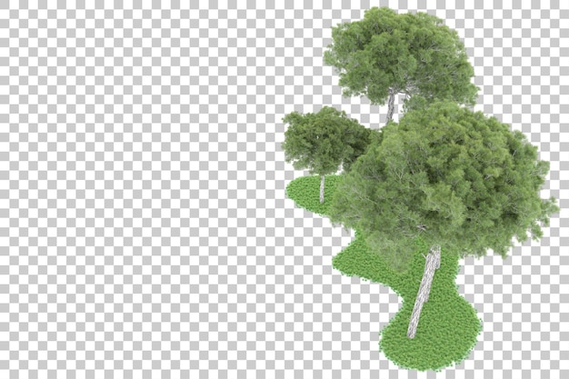forest on transparent background. 3d rendering - illustration