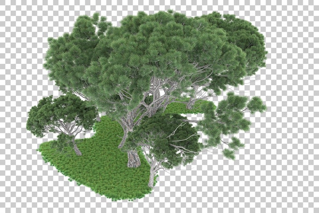 Forest on transparent background. 3d rendering - illustration