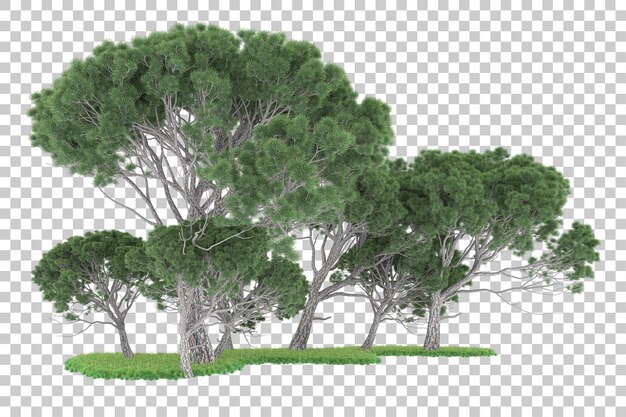 Forest on transparent background. 3d rendering - illustration