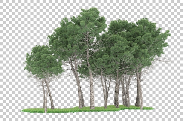 Foresta su sfondo trasparente. rendering 3d - illustrazione