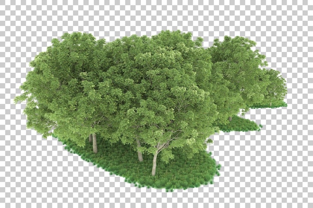 Foresta su sfondo trasparente. rendering 3d - illustrazione