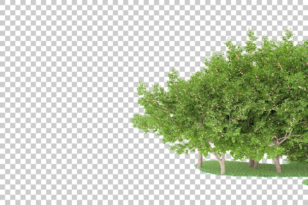 Forest on transparent background. 3d rendering - illustration