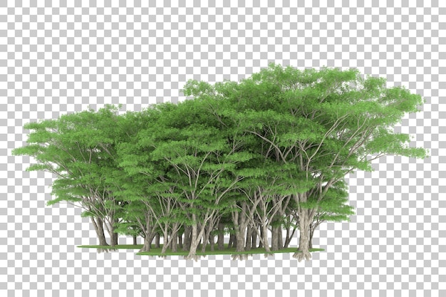 Forest on transparent background. 3d rendering - illustration