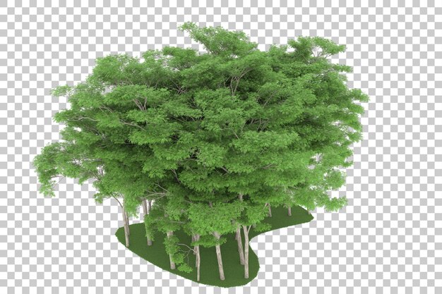 Forest on transparent background. 3d rendering - illustration