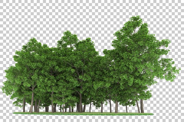 PSD forest on transparent background. 3d rendering - illustration