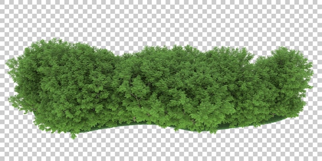 Forest on transparent background. 3d rendering - illustration