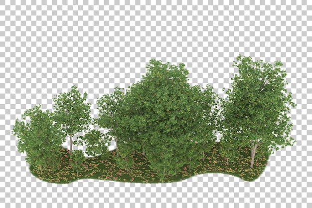 PSD forest on transparent background. 3d rendering - illustration