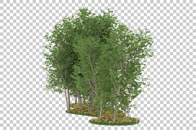 Forest on transparent background. 3d rendering - illustration