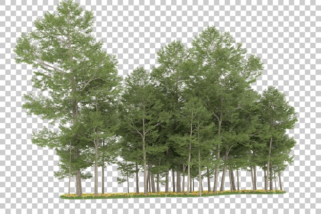 Forest on transparent background. 3d rendering - illustration