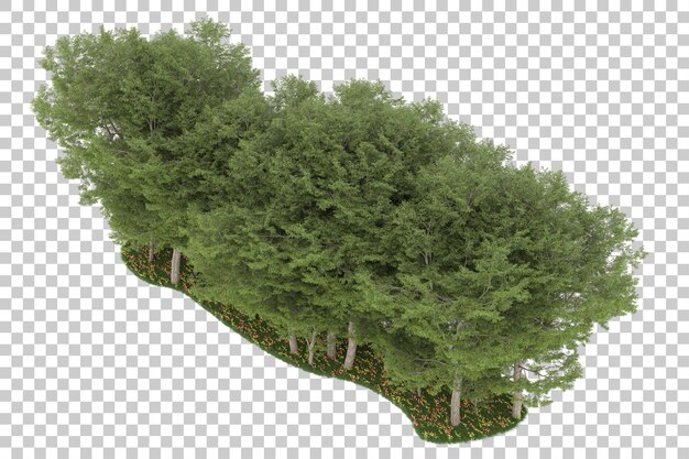 Forest on transparent background. 3d rendering - illustration