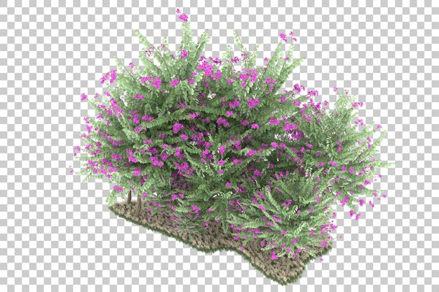 PSD forest on transparent background. 3d rendering - illustration