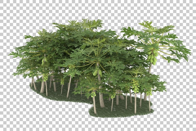 Forest on transparent background. 3d rendering - illustration