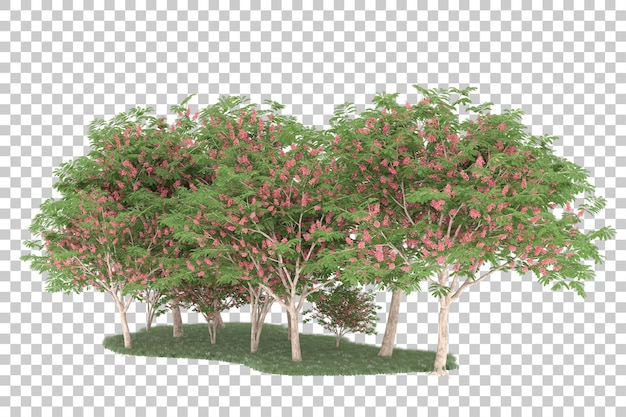 Foresta su sfondo trasparente. rendering 3d - illustrazione