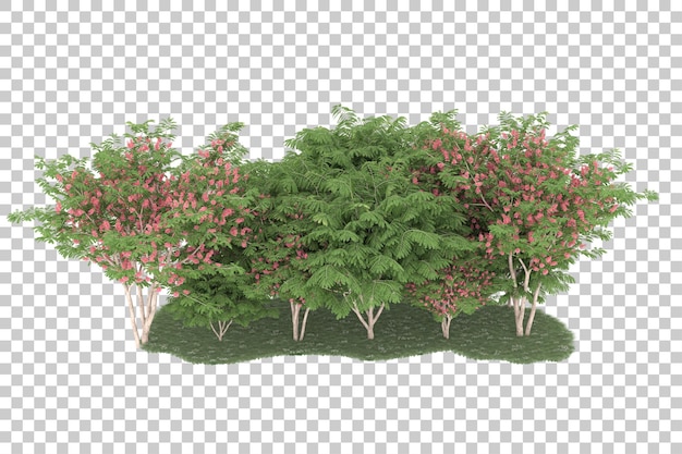 PSD forest on transparent background. 3d rendering - illustration