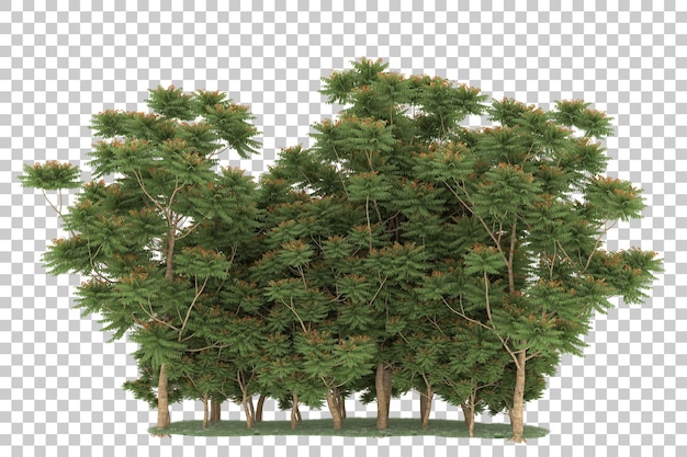 Forest on transparent background. 3d rendering - illustration