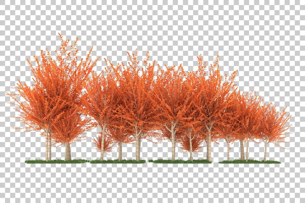 Forest on transparent background. 3d rendering - illustration