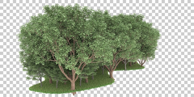 Foresta su sfondo trasparente. rendering 3d - illustrazione