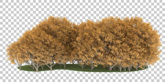 Forest on transparent background. 3d rendering - illustration