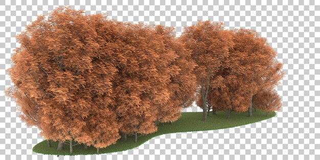 Forest on transparent background. 3d rendering - illustration