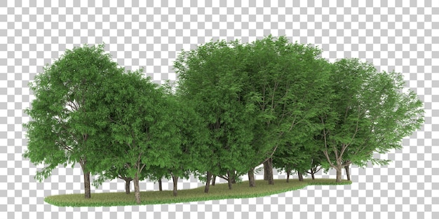 Forest on transparent background. 3d rendering - illustration