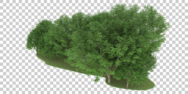 Foresta su sfondo trasparente. rendering 3d - illustrazione