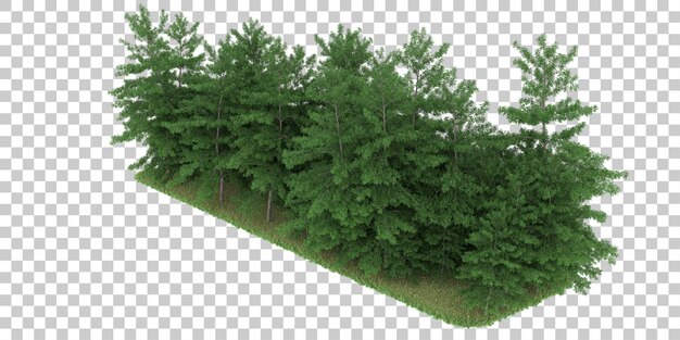 透明な背景の森。 3 d レンダリング - イラスト