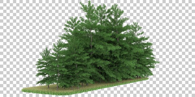 PSD forest on transparent background. 3d rendering - illustration