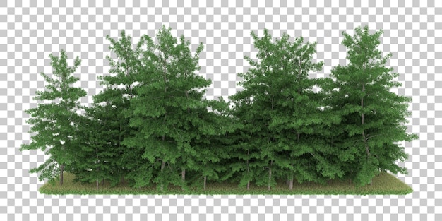 PSD forest on transparent background. 3d rendering - illustration