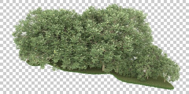 PSD forest on transparent background. 3d rendering - illustration