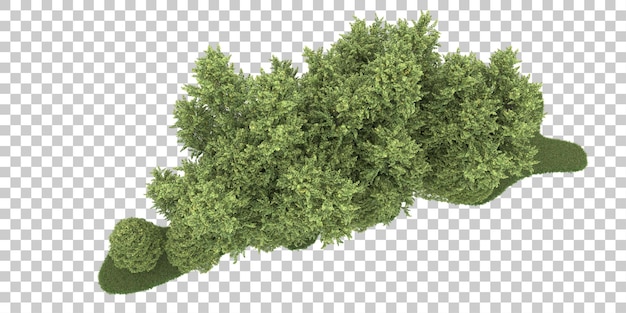 Лес на прозрачном фоне. 3D-рендеринг - иллюстрация