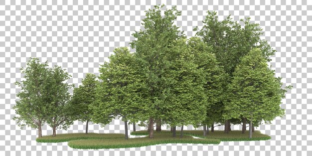 Forest on transparent background. 3d rendering - illustration