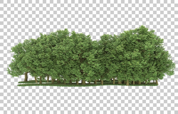 PSD forest on transparent background. 3d rendering - illustration