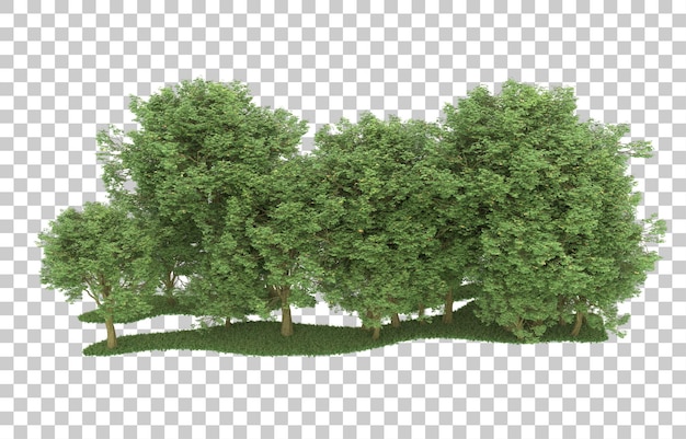 Forest on transparent background. 3d rendering - illustration