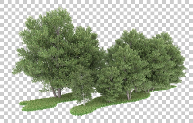 Forest on transparent background. 3d rendering - illustration