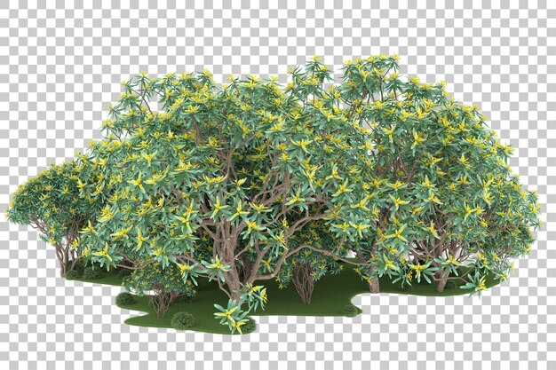 Forest on transparent background. 3d rendering - illustration