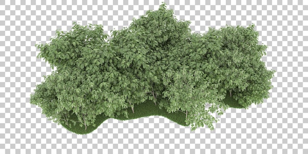 Forest on transparent background. 3d rendering - illustration