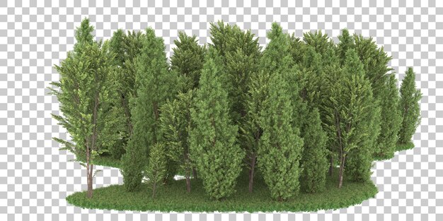 Forest on transparent background. 3d rendering - illustration