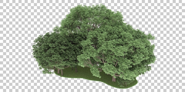 Forest on transparent background. 3d rendering - illustration