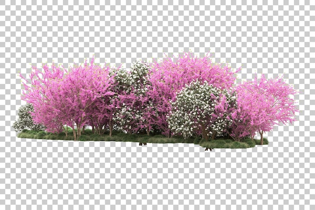 PSD foresta con fiori isolati su sfondo trasparente 3d rendering illustrazione