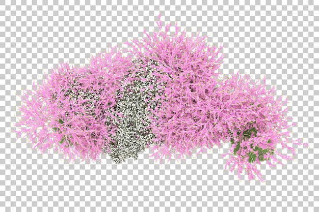 PSD foresta con fiori isolati su sfondo trasparente 3d rendering illustrazione