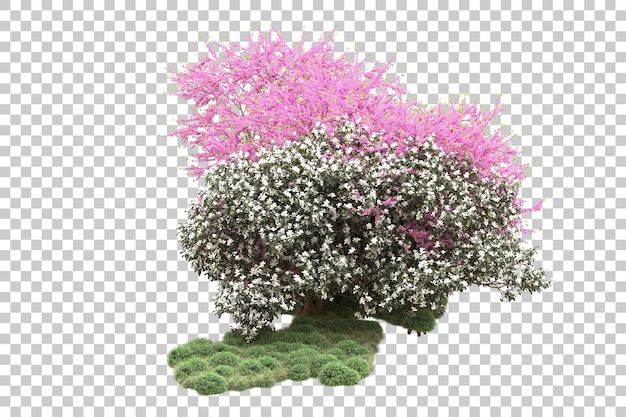 PSD forest with flowers isolated on transparent background 3d rendering illustration