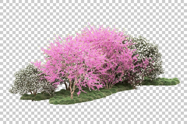 PSD forest with flowers isolated on transparent background 3d rendering illustration