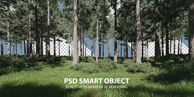 PSD forest with meadow 3d rendering of isolated objects