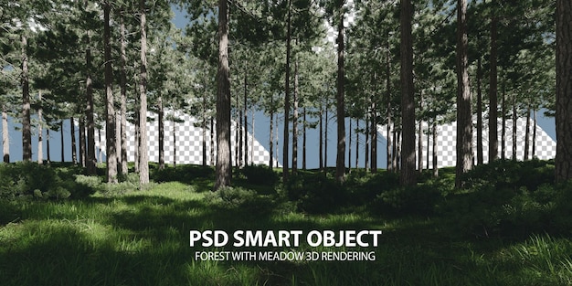 Forest with meadow 3d rendering of isolated objects