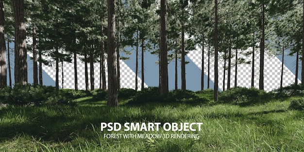 PSD forest with meadow 3d rendering of isolated objects