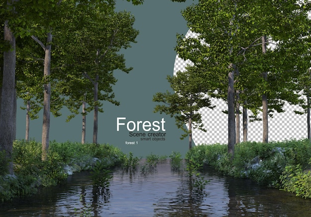 PSD forest with various types of trees