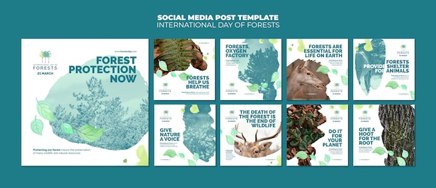 Forests day instagram posts template with photo