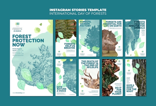 PSD forests day instagram stories template with photo