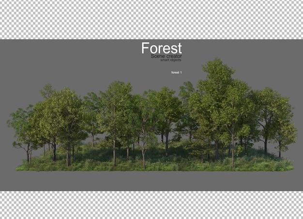 Forests with many trees and plants